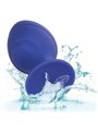 California Exotic - Plug Anale Blu 2 PZ Cheeky Buttplug