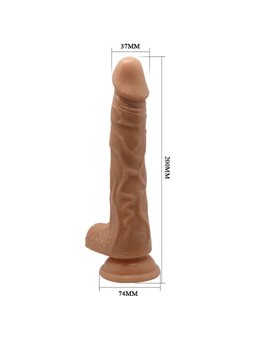 Baile - Beautiful Encounter Bodach Vibration and Rotation 20 CM