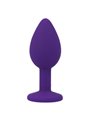 Intense Shelki S Plug Anal Purple