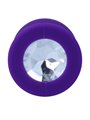 Intense Shelki M Plug Anal Purple