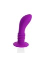 Pretty Love - Booty Passion Vibrator Plug 10V