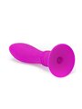 Pretty Love - Booty Passion Vibrator Plug 10V