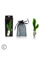 Pretty Love - Flirtation Owen GReen Vibrator