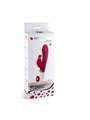 Pretty Love - Flirtation Vibrator with Rabbit Gene