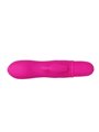 Pretty Love - Flirtation Vibrator with Rabbit Caesar