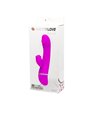 Pretty Love - Flirtation Vibrator with Rabbit David