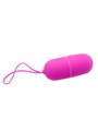 Pretty Love - Vibrating Egg Arvin Remote Control 12V