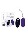 Intense Flippy II  Vibrating Egg with Remote Control Purple