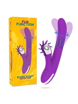 Fun Function - Bunny Funny Rotation 2.0