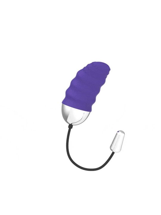 Mr Boss - Denis Egg Remote Control