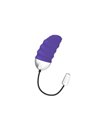 Mr Boss - Denis Egg Remote Control