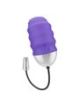 Mr Boss - Denis Egg Remote Control