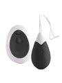 Intense Jan Vibrating Egg Remote Deep Black