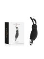 Intense Rabbit Roger Black