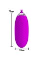 Pretty Love Joanna Remote Control Vibrating Egg 12 Functions