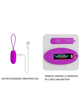 Pretty Love - Joanna Vibrating Egg Remote Control 12 Modes
