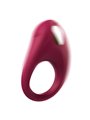 Cici Beauty Vibrating Ring - Anello Fallico Vibrante in Silicone Premium