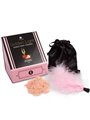 Secretplay - Golden Light Kit Sparkling Strawberry Edible Powder & Feather