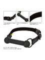 California Exotics - Boundless Bar Gag