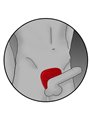 Electrastim  Silicone Fusion Viper Cock Shield