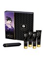 Shunga Naughty Geisha Kit