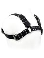 Leather Body - Black Bull Dog Harness