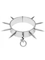 Metal Hard - Collare Bdsm in Acciaio con Spuntoni