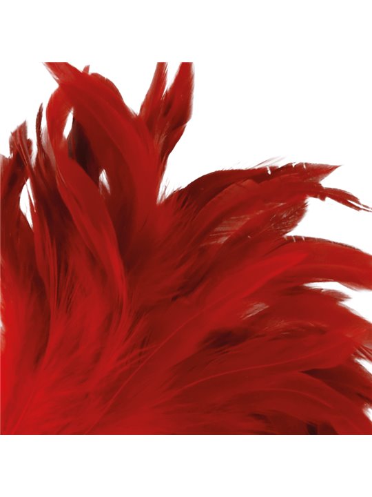 Darkness - Frustino Red Feather 24Cm