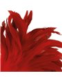 Darkness - Frustino Red Feather 24Cm