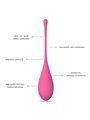 Leslie - Kegel Fit Pelvic Muscle Training Set 6 Weights