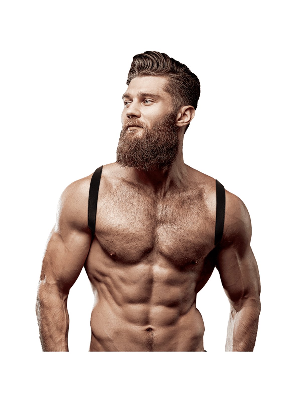 Fetish Submissive Attitude - Men'S Eco-Leather Back Harness