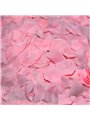 Spicy Devil - 100 Pink Petals