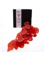Taloka - Red Petals Perfumed With Aphrodisiac Fragrance