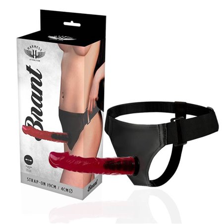 Harness Attraction - Rnes Brant 19 X 4Cm