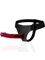 Harness Attraction - Rnes Brant 19 X 4Cm
