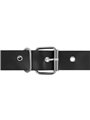 Harness Attraction - Rnes Taylor Deluxe 18 X 4.5Cm