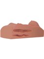 Pdx Plus - Female Masturbator Torso Double Entry Caramel