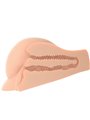 Pdx Plus - Perfect Ass XL Double Entry Masturbator