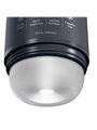 Pdx Plus - Stroker Masturbator Discreet Deep Cream Shampoo Bottle Design