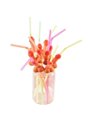 Diablo Picante - Bag Of 10 Natural Big Penis Straws