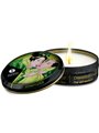 Shunga - Kit Giardino Edo Collezione Biologica