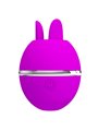 Pretty Love - Vibratore in Silicone Tondo Viola Gemini Ball