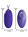 Pretty Love - Berger Youth Violating Egg Remote Control Violet