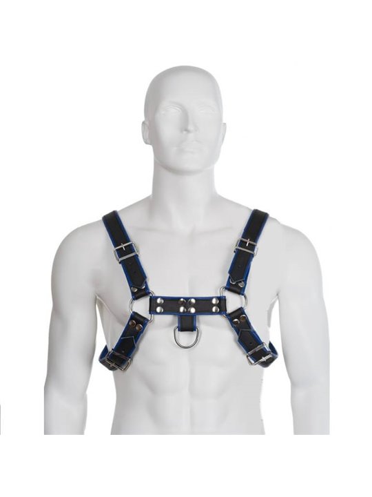 Leather Body Chest Bulldog Harness Black/Blue Leather