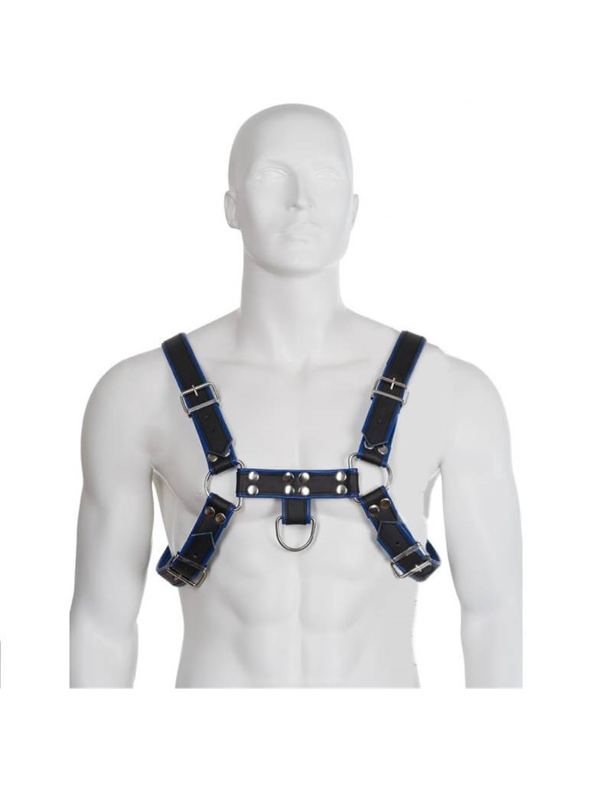 Leather Body Chest Bulldog Harness Black/Blue Leather