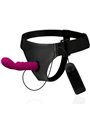 Harness Attraction - Rnes Walter with Vibration 15.5 X 3.7 CM