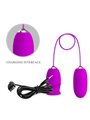 Pretty Love - Vibratore Ricaricabile Daisy Dual Egg Viola