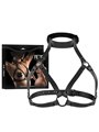 Fetish Submissive Bondage - Imbracatura Torace Regolabile