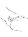 Shunga - Sanya Intimate Massager Violet