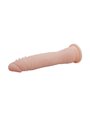 Baile - Fit Realistic Tpr Vertebrate 20.1 CM